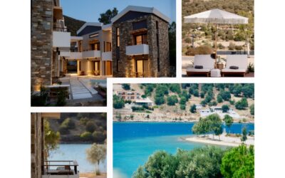 Yoga Retreat: Align and Flow from Summer to Fall